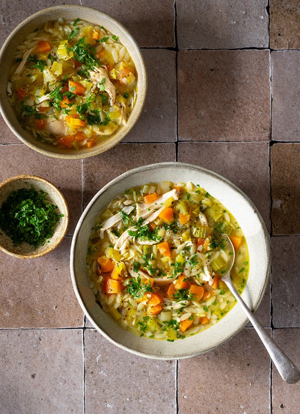 Roast chicken, vegetable and orzo soup