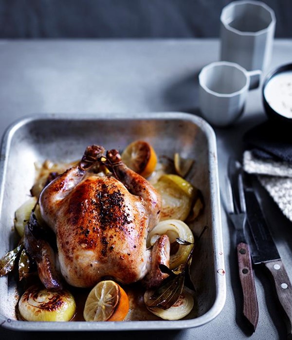 Roast chicken with bread sauce