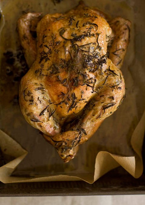 Roast chicken with oodles of herbs