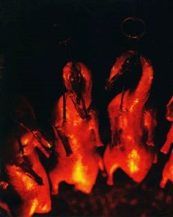 Roast duck