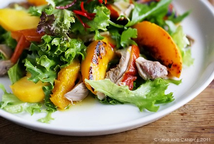 Roast duck, char-grilled peach and orange salad