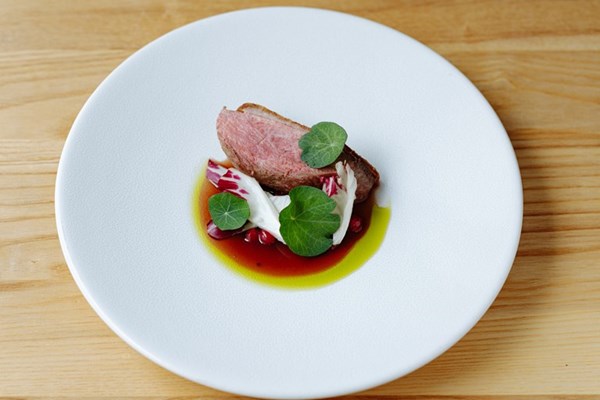  Roast duck with redcurrants, nasturtium and radicchio