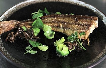 Roast gurnard with Brussels sprout leaves and winter mushrooms