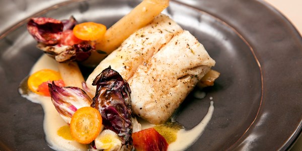 Roast hake with salsify, citrus and raddichio