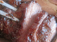 Roast pork, or char siu (Chāshāo / 叉燒)