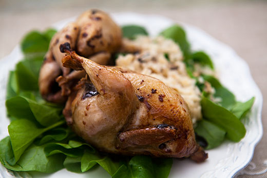 Roast quail with balsamic reduction
