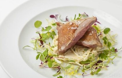 Roast squab pigeon with celeriac salad