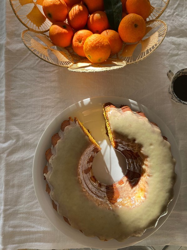 Roast squash, dark chocolate, olive oil and clementine cake