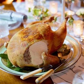 Roast turkey with lemon, garlic and herb butter
