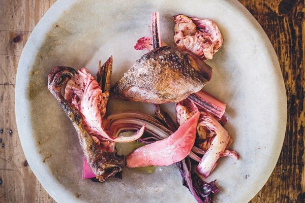  Roast wood pigeon, chicory, rhubarb