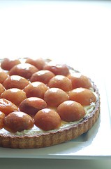 Roasted apricot & ricotta tart