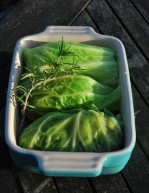 Roasted aubergine cabbage rolls