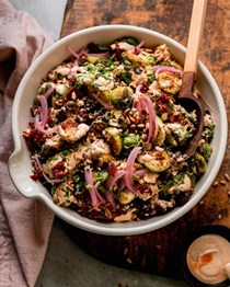 Roasted Brussels sprouts quinoa lentil salad with spicy Caesar dressing