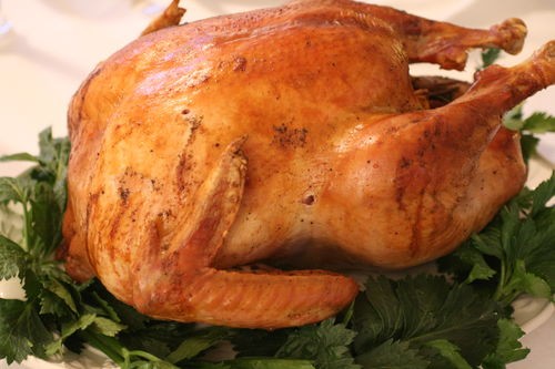 Roasted dry-brined turkey with pan gravy  (Thanksgiving recap) 
