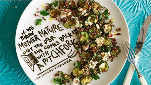 Roasted feta with quinoa and zucchini