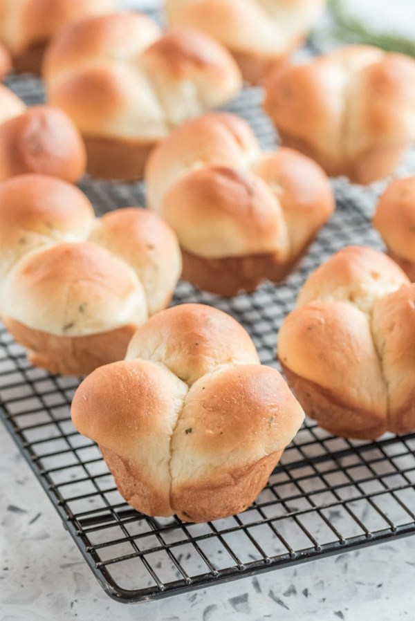 Roasted garlic and rosemary cloverleaf rolls
