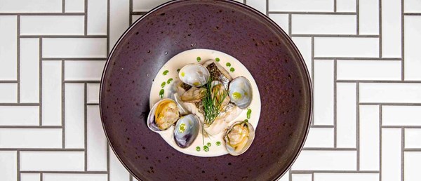 Roasted hake with clams, cider sauce and dill oil