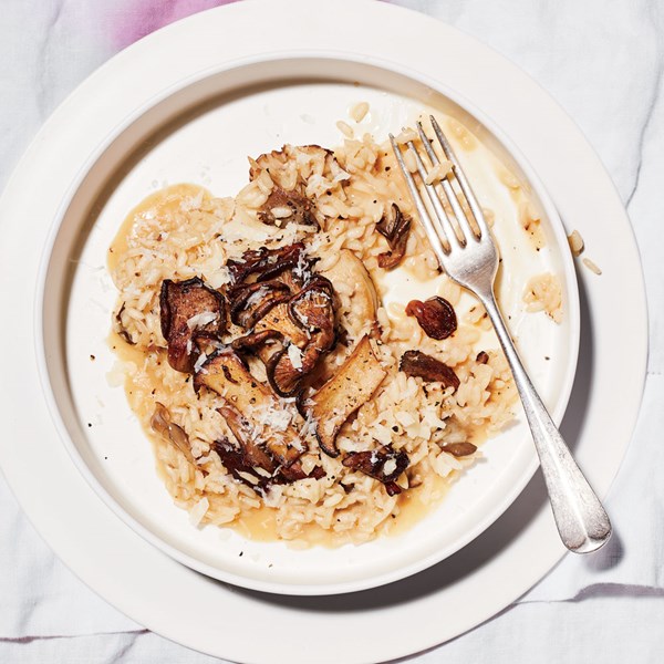 Roasted mushroom and vermouth risotto