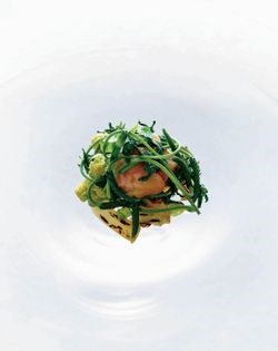 Roasted one-year onion, white sprouting broccoli, jagallo nero, minutina, smoked bone marrow