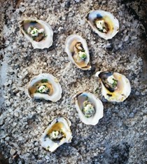 Roasted oysters with fresh cheese (Ristede østers med friskost)