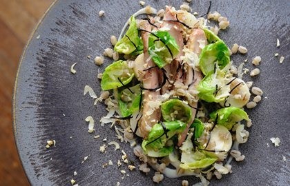 Roasted partridge, hay-baked celeriac, pearl barley and sprout leaves