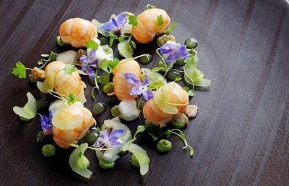 Roasted Scotch langoustines, oyster purée, celery, and horseradish