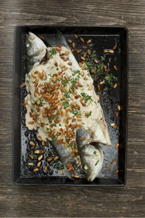 Roasted sea bass and tahini sauce