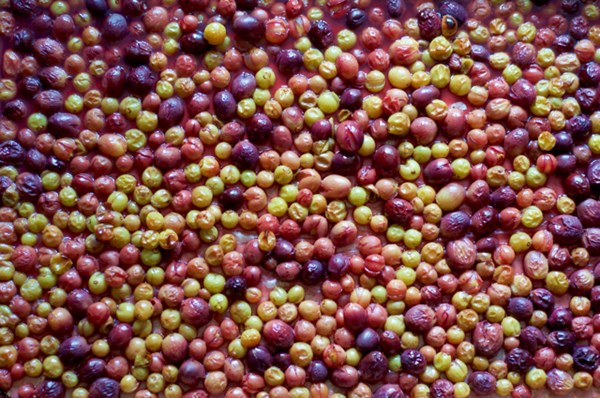 Roasted seedless grape jam