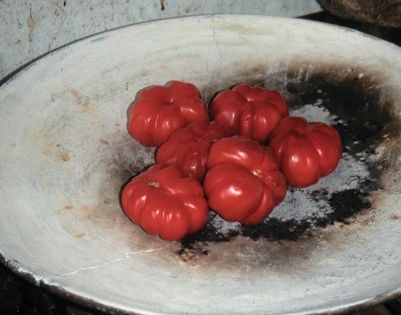 Roasted tomato-chipotle salsa