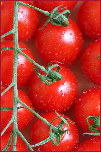 Roasted tomatoes, red onions and arugula tart (Tarte aux tomates confites, oignons rouges et roquette)
