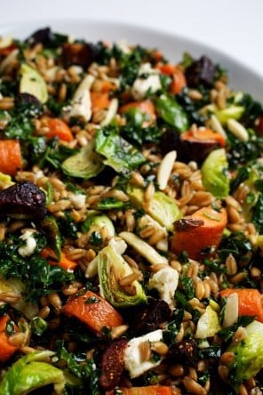 Roasted vegetable and farro salad