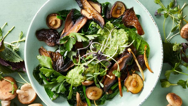 Roasted wild mushrooms, sautéed miner's lettuce, and ramp-parsley pesto