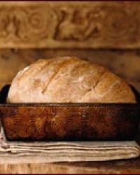 Robin's whole wheat bread