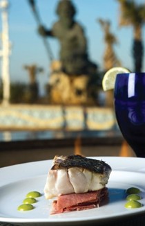 Rockfish Hampton Roads