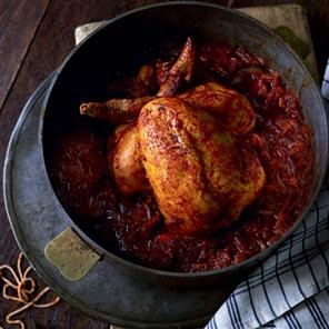 Rogan josh-braised chicken