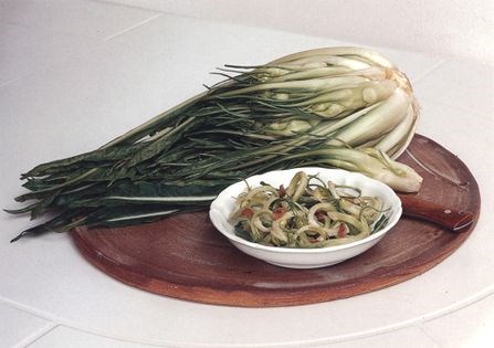 Roman puntarelle chicory salad