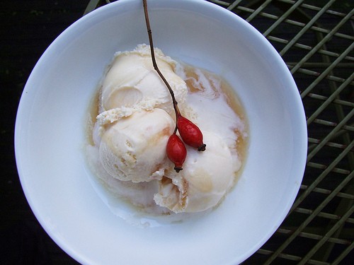 Rosehip ripple ice cream