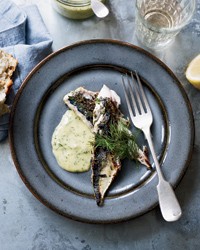 Rosemary-grilled mackerel with mustard-dill mayonnaise