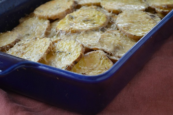 Rosemary potato gratin