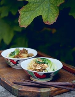 Rubber noodles with chicken (Mie ayam)