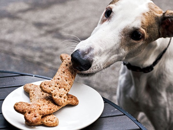 Ruby's bones (dog biscuits)