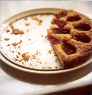 Rustic plum tart