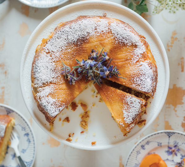 Rustic-style apricot summer birthday cake