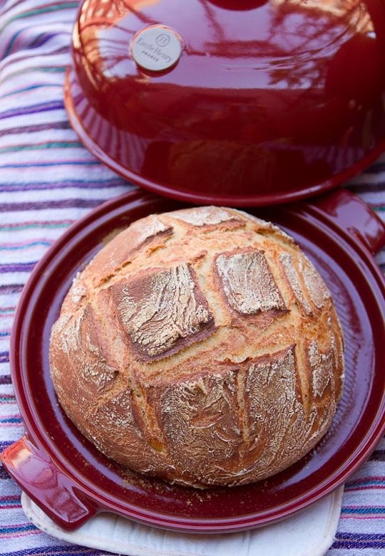 Rustic white bread from a bread cloche