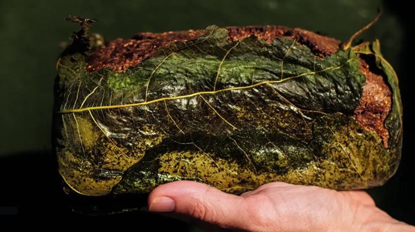 Rye wrapped in fig leaves