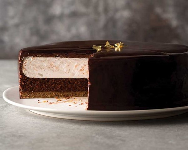 Sacher s'mores torte [Sacher cake layer, chocolate ganache frosting, chocolate glaze]
