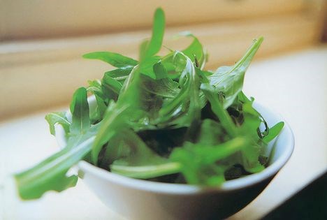 Salad of greens and herbs