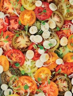 Salad of heirloom tomatoes & palm hearts with a yuzu-pon dressing 