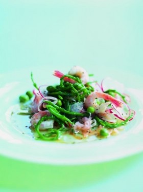 Salad of samphire, peas and prawns with pink pickled ginger and radishes