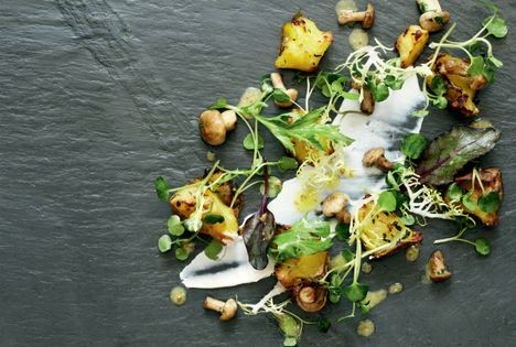 Salad of St. George’s mushrooms (Warm salad of St, George's mushrooms, baked Jersey Royals, hazelnuts and crowdie)